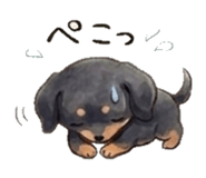 843035891