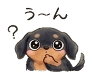 843035898
