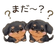 843035904