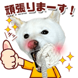 843035925
