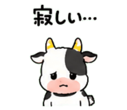 843036202
