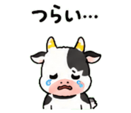 843036203