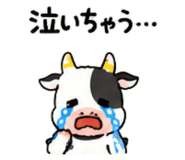 843036208