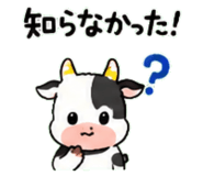 843036214