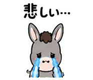843036241