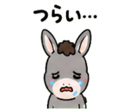 843036243
