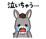 843036248