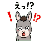 843036249