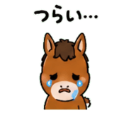 843036283