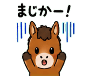 843036293