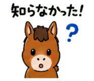 843036294