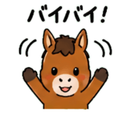 843036304
