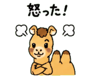 843036313