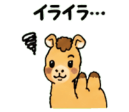 843036317