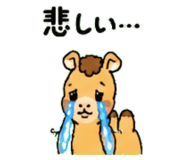 843036321