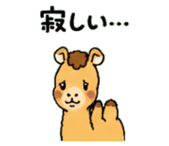 843036322