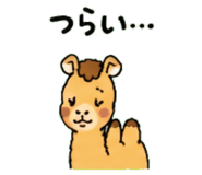 843036323