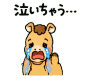 843036328