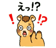 843036329