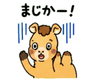 843036333