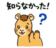 843036334