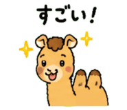 843036336