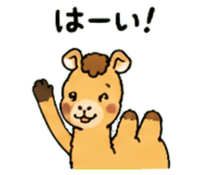 843036341