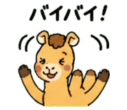 843036344