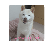 843037870