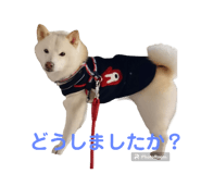 843037872