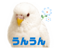 843038079
