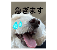 843038197