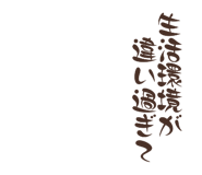 843038247