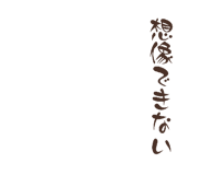 843038254
