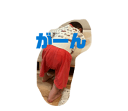 843038431