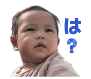 843039653