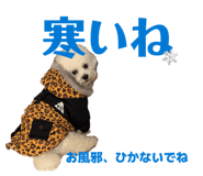 843039870