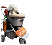 843039879