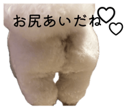 843039885