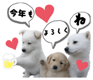 843040002