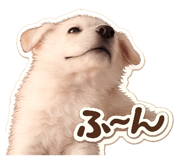 843040016