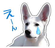 843040020