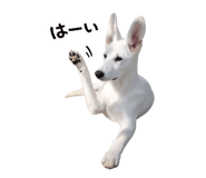 843040028