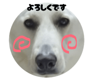 843040040