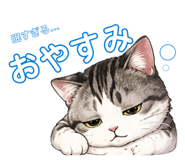 843040042