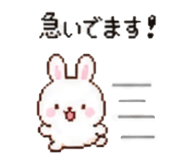 843040081