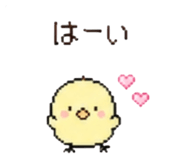 843040083