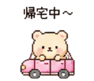 843040086