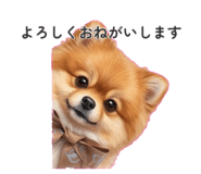 843040438