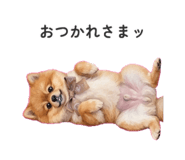 843040448